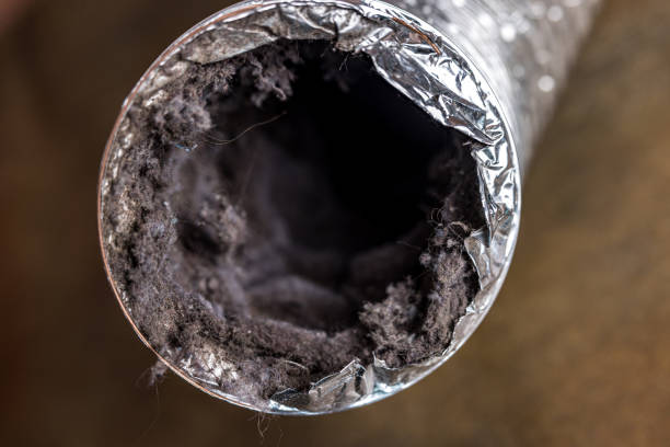 Best Professional Duct Cleaning Services  in Oakland, MO